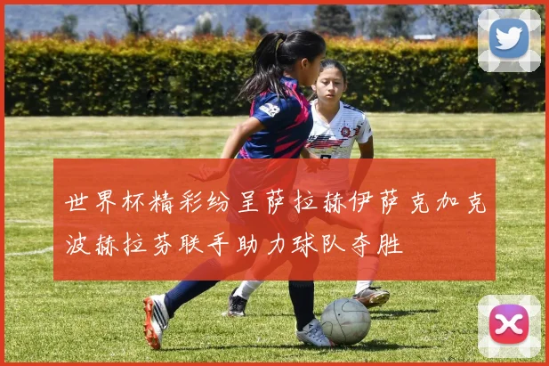 世界杯精彩纷呈萨拉赫伊萨克加克波赫拉芬联手助力球队夺胜